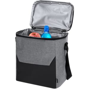 A grey cooler bag with a black front, containing a blue drink bottle and a red apple inside.