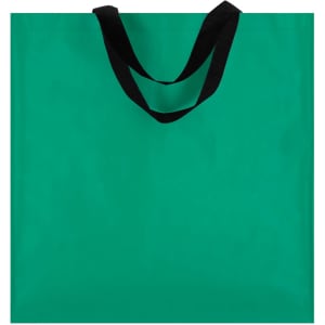 A green bag with black handles, featuring a simple design and no visible branding.