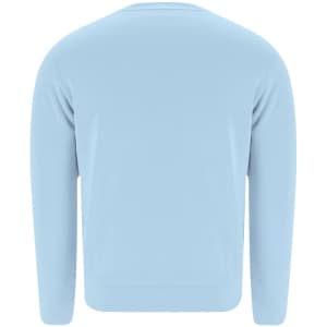 A light blue sweatshirt with a rounded neckline and long sleeves, featuring a simple design on the back.
