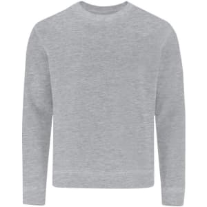 A grey children's sweatshirt with long sleeves and a round neckline, featuring a logo.