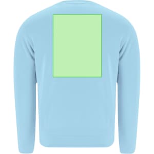 A light blue sweatshirt featuring a blank rectangular area on the back. The garment has long sleeves and a round neckline.