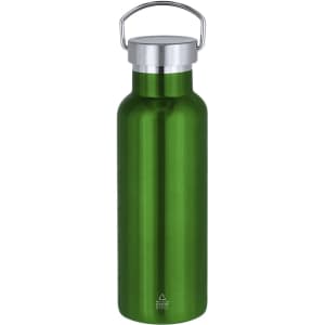 A drink bottle in vibrant green with a silver lid and a handle, featuring a smooth metallic finish and a logo.