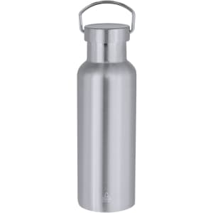 A drink bottle in a sleek silver finish, featuring a stainless steel design and a carrying handle.