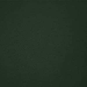 A dark green adult T-shirt with a smooth fabric finish, featuring a logo.