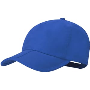 A blue cap with a curved brim and an adjustable strap at the back. It features a logo.