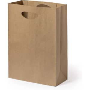 A brown paper bag with a sturdy design and handles, featuring an unprinted surface and a rectangular shape.