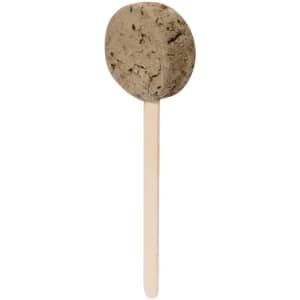 A brown seed lollipop on a wooden stick, featuring a smooth, round top. The product has a simple, natural design.