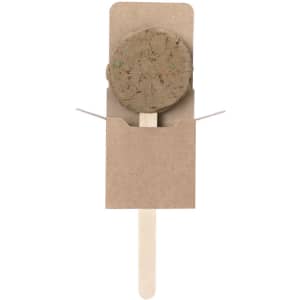 A brown seed lollipop with a wooden stick, packaged in a simple cardboard holder.