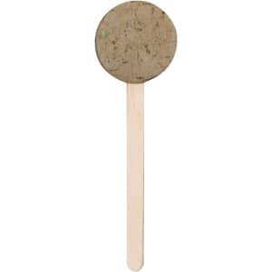 A round, earthy-toned seed lollipop on a wooden stick, designed for gardening or outdoor activities.