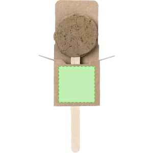 A seed lollipop with a brown, round seed disc on a wooden stick, presented in a brown cardboard holder.