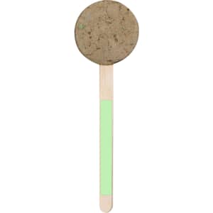 A round seed lollipop with a brown top and a wooden stick featuring a green accent. The product has a simple design.