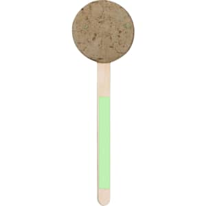 A round, earthy-brown lollipop with a wooden stick featuring a green section.