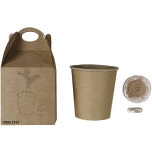 A brown cardboard flowerpot with a planting kit, including seeds and soil, in a matching box.
