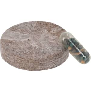 A round compressed disc made from natural fibres, accompanied by a transparent capsule filled with seeds.