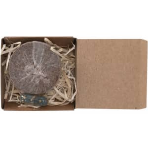 A closed cardboard box containing a round, earthy-coloured seed disc with shavings underneath.