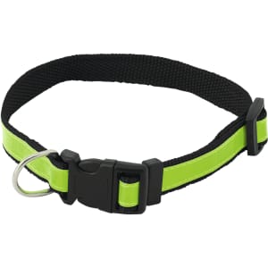 A black pet collar with a bright green accent and a plastic buckle, featuring a metal D-ring for attaching tags.