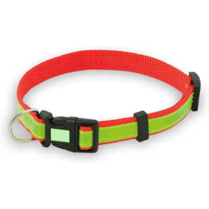 A red and green Muttley pet collar made of durable material, featuring a black buckle and a metal D-ring.