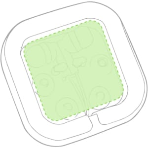 A pair of green Cort Earphones displayed in a protective case, featuring a simple design and rounded edges.