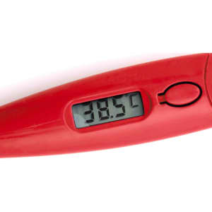 A red digital thermometer with a clear display showing a temperature reading of 38.5°C.