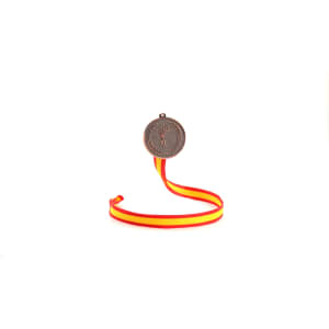 A bronze medal with a ribbon featuring red and yellow stripes, positioned upright for display.