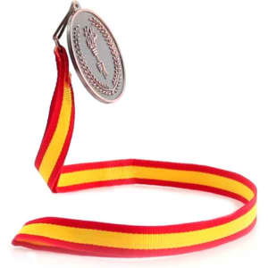 A silver medal with a laurel design attached to a red and yellow striped ribbon.