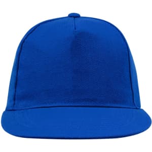 A blue cap with a flat brim and a structured design. It features a simple branding logo on the front.