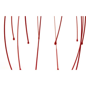 A series of red liquid strands hanging in the air, with droplets forming at the tips against a white background.