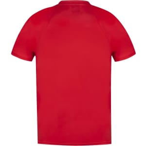 A red adult t-shirt with short sleeves and a round neckline, featuring a logo on the back.