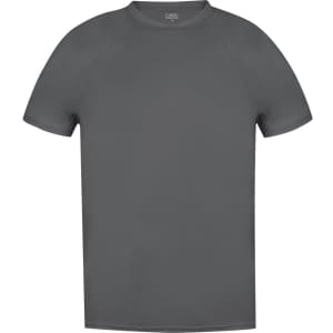 A grey adult T-shirt with a crew neck and short sleeves, featuring a logo on the front.