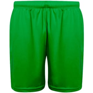 Green sports shorts with an elastic waistband and branding logo. A lightweight option for active wear.