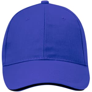 A blue cap featuring a curved brim and an adjustable strap at the back, with a logo on the front.