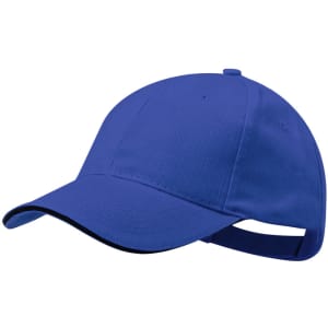A blue cap with a curved brim and an adjustable strap at the back. It features a logo on the front.