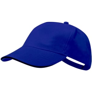 A blue cap with a curved brim and an adjustable strap at the back. It features a branding logo.