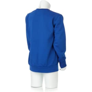 A blue technical sweatshirt displayed on a mannequin, showcasing the back view of the garment.
