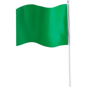 A green pennant flag attached to a white pole, suitable for events and exhibitions.