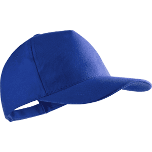 A blue cap featuring a curved peak and an adjustable strap at the back. It has branding on the front.