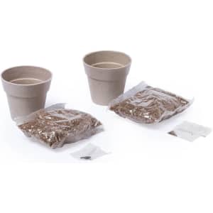 A flowerpot set featuring two beige pots, packets of soil, and seed sachets, ideal for planting.