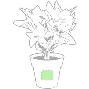A green pot with a plant, featuring a simple design and a blank section for personalisation.