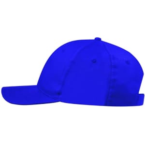 A blue cap with a curved brim and ventilation eyelets, featuring a logo on the side.