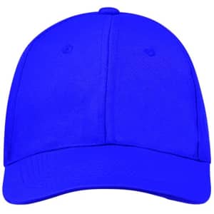 A blue cap featuring a curved brim and ventilation holes, with a logo on the front.