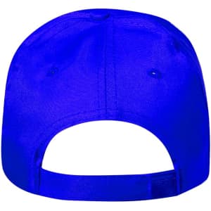A blue cap with a curved brim and an adjustable strap at the back. It features a logo.