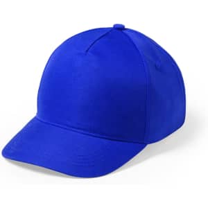 A blue cap with a rounded crown and a curved peak, featuring a logo.