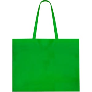 A green reusable grocery bag with two handles and a simple design, featuring a logo on one side.