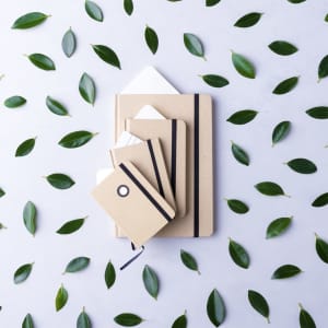 A collection of brown notepads with elastic bands, surrounded by green leaves on a light background.