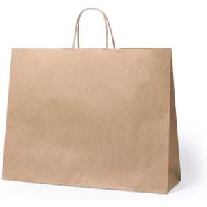 A large, brown paper bag with handles, designed for carrying items. It has a simple, unbranded appearance.