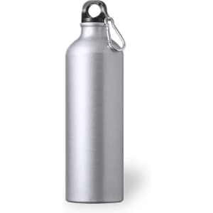 A drink bottle in silver with a sleek design and a carabiner attachment. It features a logo on the side.