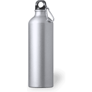 A drink bottle in shiny silver with a secure cap and a clip for easy attachment.