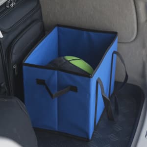 A blue organiser bag with black handles, containing a green and black ball, in a vehicle's storage area.