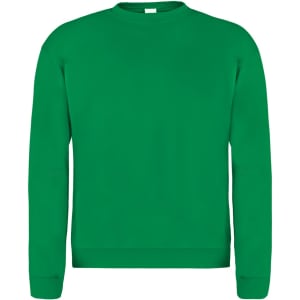 A green adult sweatshirt with a simple design and a logo on the front. Features long sleeves and a crew neckline.