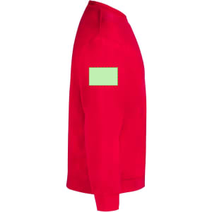 A red adult sweatshirt with a green rectangular patch on the sleeve. The design features a classic jumper style.